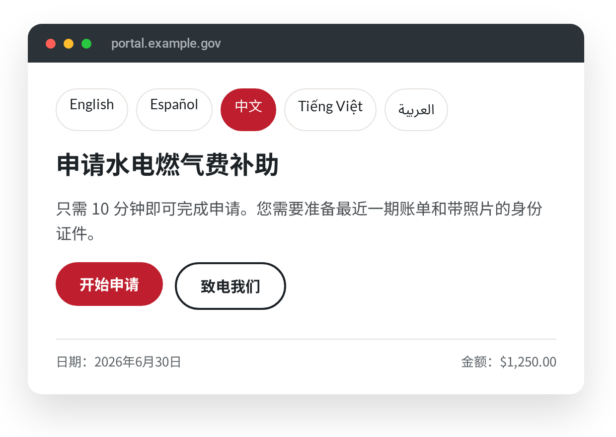 The same portal page localized into Simplified Chinese